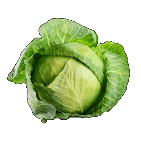cabbage.gif